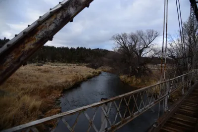 DSC_2925 (Large).JPG